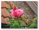 dsc00076.jpg
