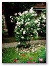 image_8.jpg