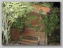 dsc00955.jpg