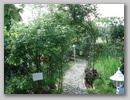 dsc01009.jpg