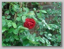 dsc01018.jpg