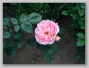 dsc00152.jpg