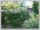 dsc00153.jpg