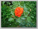 dsc00183.jpg