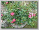 dsc00206.jpg