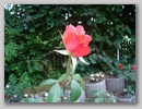 dsc00248.jpg