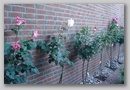 dsc03288.jpg