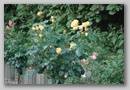 dsc03304.jpg