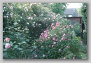 dsc03315.jpg