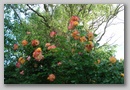dsc03378.jpg